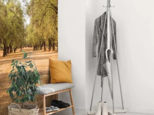 Clearance Olijfbomen Veld fotobehang Bloemen
