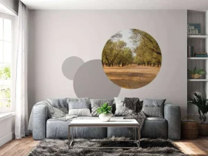 Clearance Olijfbomen Veld fotobehang Bloemen