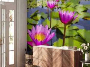 Fashion Opvallende roze lotusbloem fotobehang Bloemen