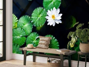 Fashion Opvallende witte kleine lotusbloem fotobehang Bloemen