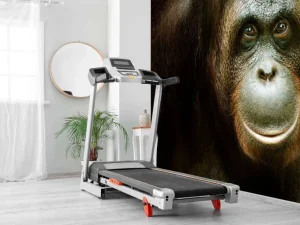 Sale Orang-oetan met een zwarte achtergrond fotobehang Dieren