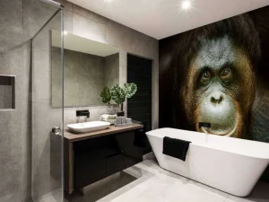 Sale Orang-oetan met een zwarte achtergrond fotobehang Dieren