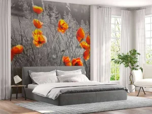 Online Oranje klaprozen met een zwart-witte achtergrond fotobehang Bloemen