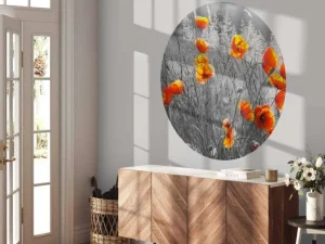 Online Oranje klaprozen met een zwart-witte achtergrond fotobehang Bloemen