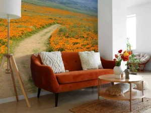 Hot Oranje klaprozenveld in Californië fotobehang Bloemen