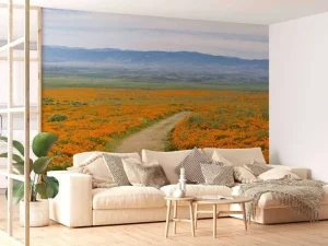 Hot Oranje klaprozenveld in Californië fotobehang Bloemen