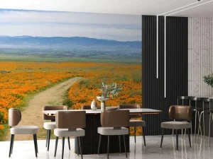 Hot Oranje klaprozenveld in Californië fotobehang Bloemen