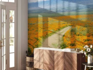 Hot Oranje klaprozenveld in Californië fotobehang Bloemen