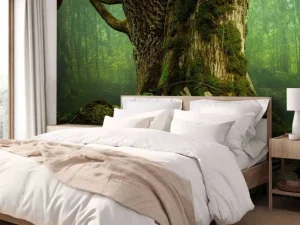 Sale Oude Boom met Rotsen fotobehang Bloemen