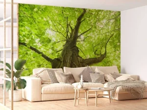 Best Oude Groene Boom tijdens Zonnige Dag fotobehang Bloemen