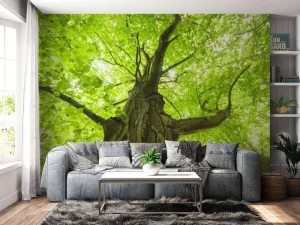 Best Oude Groene Boom tijdens Zonnige Dag fotobehang Bloemen