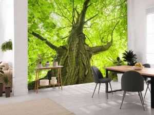 Best Oude Groene Boom tijdens Zonnige Dag fotobehang Bloemen