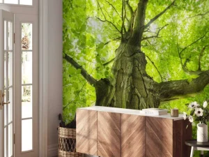 Best Oude Groene Boom tijdens Zonnige Dag fotobehang Bloemen