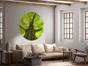 Best Oude Groene Boom tijdens Zonnige Dag fotobehang Bloemen