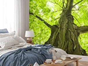 Best Oude Groene Boom tijdens Zonnige Dag fotobehang Bloemen