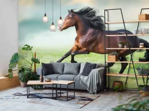 Fashion Paard aan het rennen fotobehang Dieren