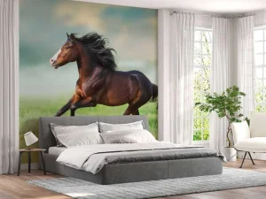 Fashion Paard aan het rennen fotobehang Dieren
