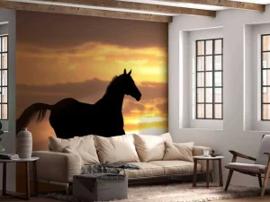 Outlet Paard tijdens Zonsondergang fotobehang Tienerkamer | Kinderkamer