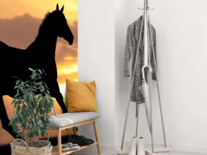 Outlet Paard tijdens Zonsondergang fotobehang Tienerkamer | Kinderkamer