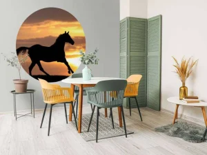 Outlet Paard tijdens Zonsondergang fotobehang Tienerkamer | Kinderkamer