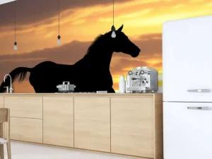 Outlet Paard tijdens Zonsondergang fotobehang Tienerkamer | Kinderkamer