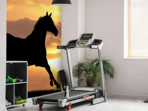 Outlet Paard tijdens Zonsondergang fotobehang Tienerkamer | Kinderkamer