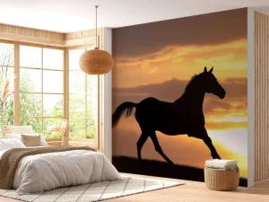 Outlet Paard tijdens Zonsondergang fotobehang Tienerkamer | Kinderkamer