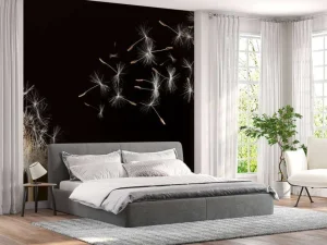 Best Paardebloem met een zwarte achtergrond fotobehang Keuken | Hobbykamer