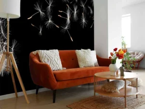 Best Paardebloem met een zwarte achtergrond fotobehang Keuken | Hobbykamer