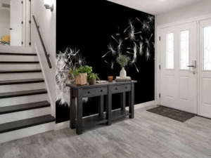 Best Paardebloem met een zwarte achtergrond fotobehang Keuken | Hobbykamer