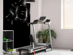 Best Paardebloem met een zwarte achtergrond fotobehang Keuken | Hobbykamer