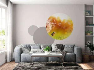 Best Paardebloemen onder rood licht fotobehang Bloemen