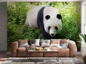 Online Panda in de natuur fotobehang Dieren