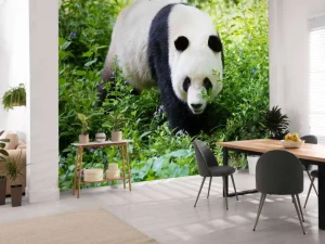 Online Panda in de natuur fotobehang Dieren
