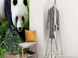 Online Panda in de natuur fotobehang Dieren