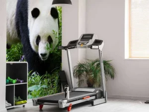 Online Panda in de natuur fotobehang Dieren