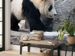 Discount Panda in een dierentuin fotobehang Dieren