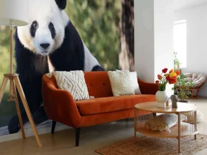 Clearance Panda op een houten balk fotobehang Dieren
