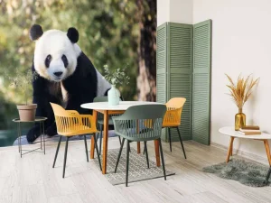 Clearance Panda op een houten balk fotobehang Dieren