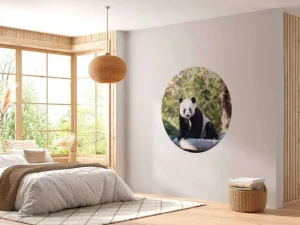 Clearance Panda op een houten balk fotobehang Dieren
