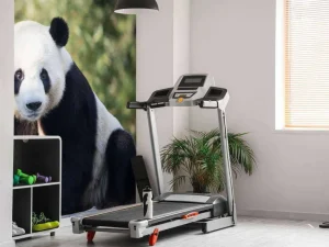 Clearance Panda op een houten balk fotobehang Dieren