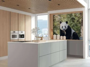 Clearance Panda op een houten balk fotobehang Dieren