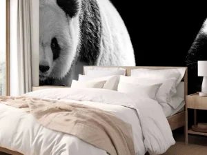 Online Panda's met een zwarte achtergrond fotobehang Woonkamer | Dieren