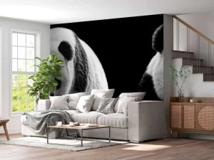 Online Panda's met een zwarte achtergrond fotobehang Woonkamer | Dieren