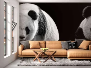 Online Panda's met een zwarte achtergrond fotobehang Woonkamer | Dieren