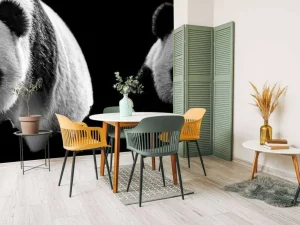 Online Panda's met een zwarte achtergrond fotobehang Woonkamer | Dieren