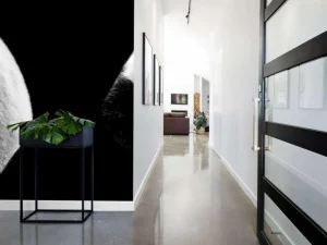 Online Panda's met een zwarte achtergrond fotobehang Woonkamer | Dieren