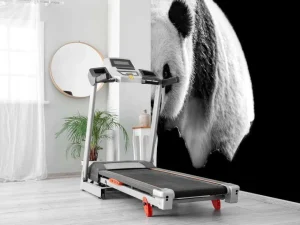 Online Panda's met een zwarte achtergrond fotobehang Woonkamer | Dieren