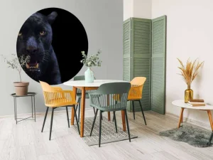 Fashion Panter met een zwarte achtergrond fotobehang Tienerkamer | Dieren