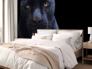 Fashion Panter met een zwarte achtergrond fotobehang Tienerkamer | Dieren